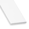 Profilé Plat En Polyester Et Fibre De Verre - Largeur 24 Mm - épaisseur 2.5 Mm - Longueur 1 M CQFD 2047-5313 -Bosch Soldes sans titre 1 10
