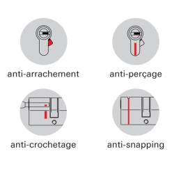 Cylindre Thirard Transit 1 - Nickel Velours - 50 X 50 Mm 7 Cylindre Thirard Transit 1 - Nickel Velours - 50 X 50 Mm -Bosch Soldes transit